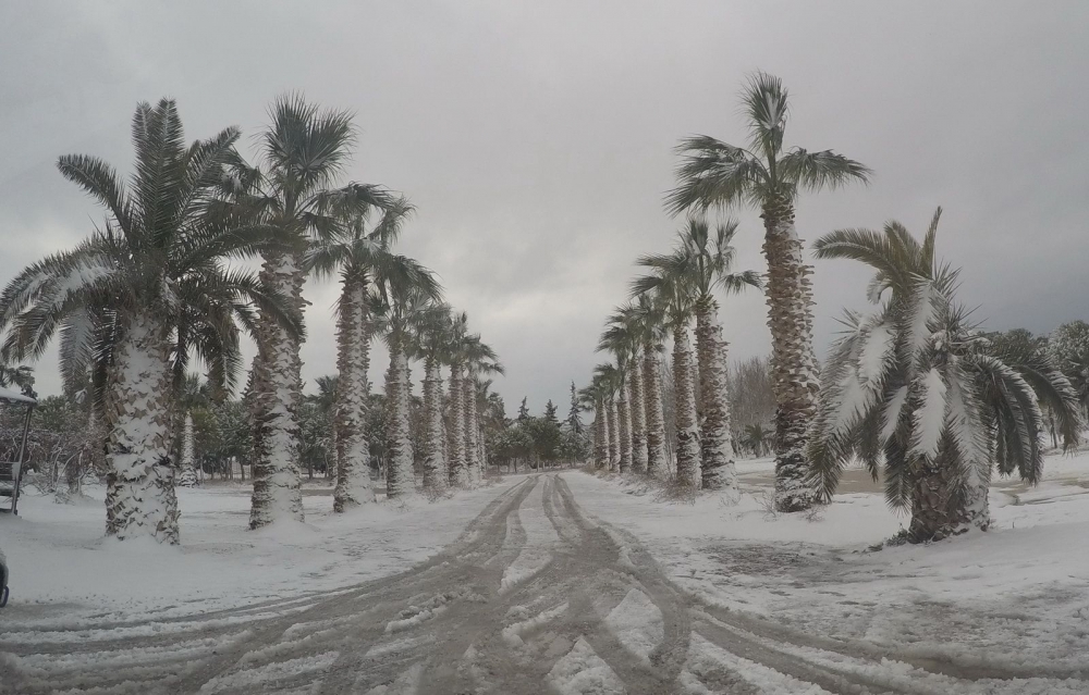 Akhisar'dan çeşitli kar manzaraları 8