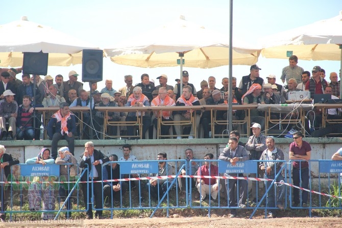 559.Çağlak Festivali Cirit ve Değnek atışları en güzel kareleri 30