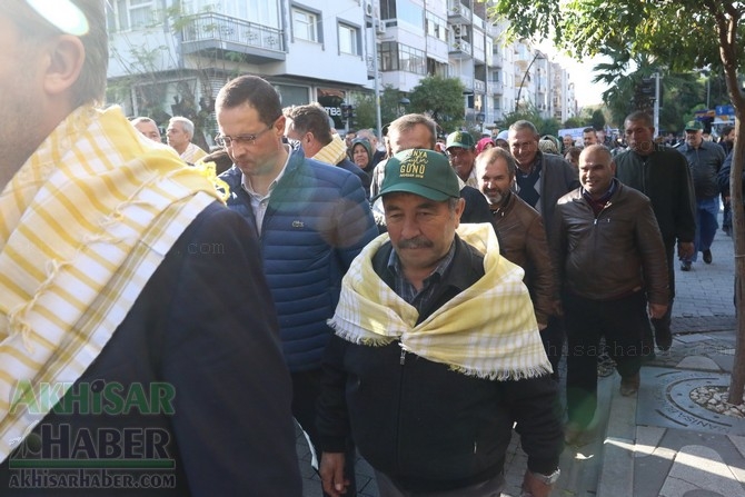 Akhisar'da Dünya zeytin Günü yürüyüşü renkli görüntülere sahne oldu 17