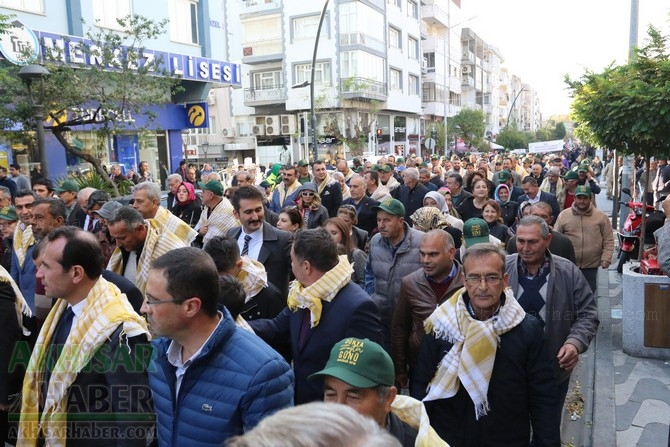 Akhisar'da Dünya zeytin Günü yürüyüşü renkli görüntülere sahne oldu 21