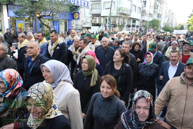 Akhisar'da Dünya zeytin Günü yürüyüşü renkli görüntülere sahne oldu 25