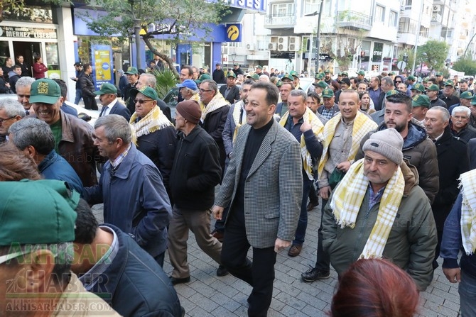 Akhisar'da Dünya zeytin Günü yürüyüşü renkli görüntülere sahne oldu 29