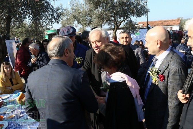 Dünya Zeytin Günü kutlama etkinliklerinden renkli görüntüler 5