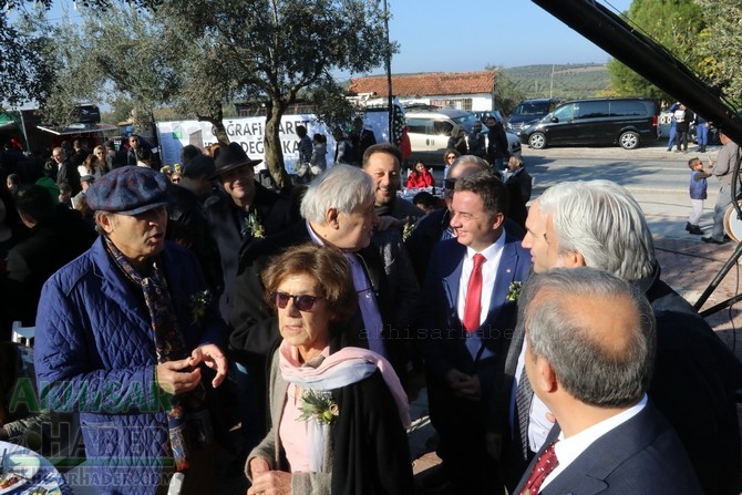 Dünya Zeytin Günü kutlama etkinliklerinden renkli görüntüler 74