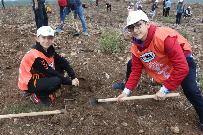 Akhisar'da 11 milyon ağaç etkinliği düzenlendi foto galerisi 105