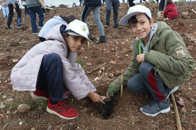 Akhisar'da 11 milyon ağaç etkinliği düzenlendi foto galerisi 114