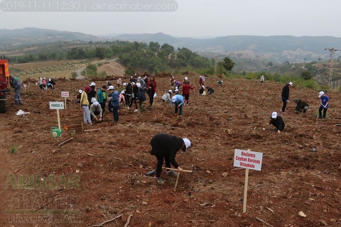 Akhisar'da 11 milyon ağaç etkinliği düzenlendi foto galerisi 117