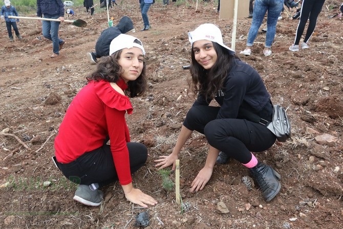 Akhisar'da 11 milyon ağaç etkinliği düzenlendi foto galerisi 125