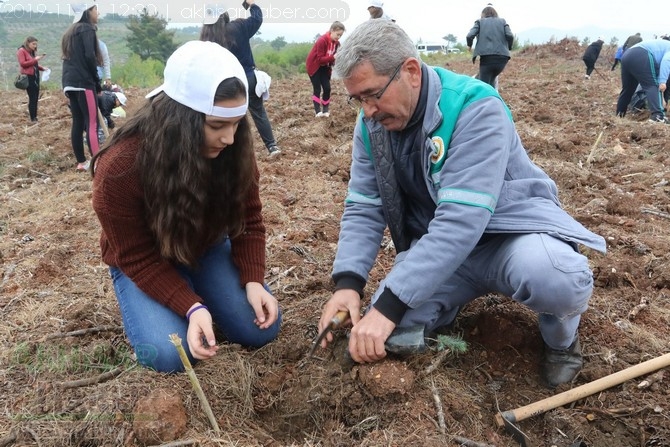 Akhisar'da 11 milyon ağaç etkinliği düzenlendi foto galerisi 126