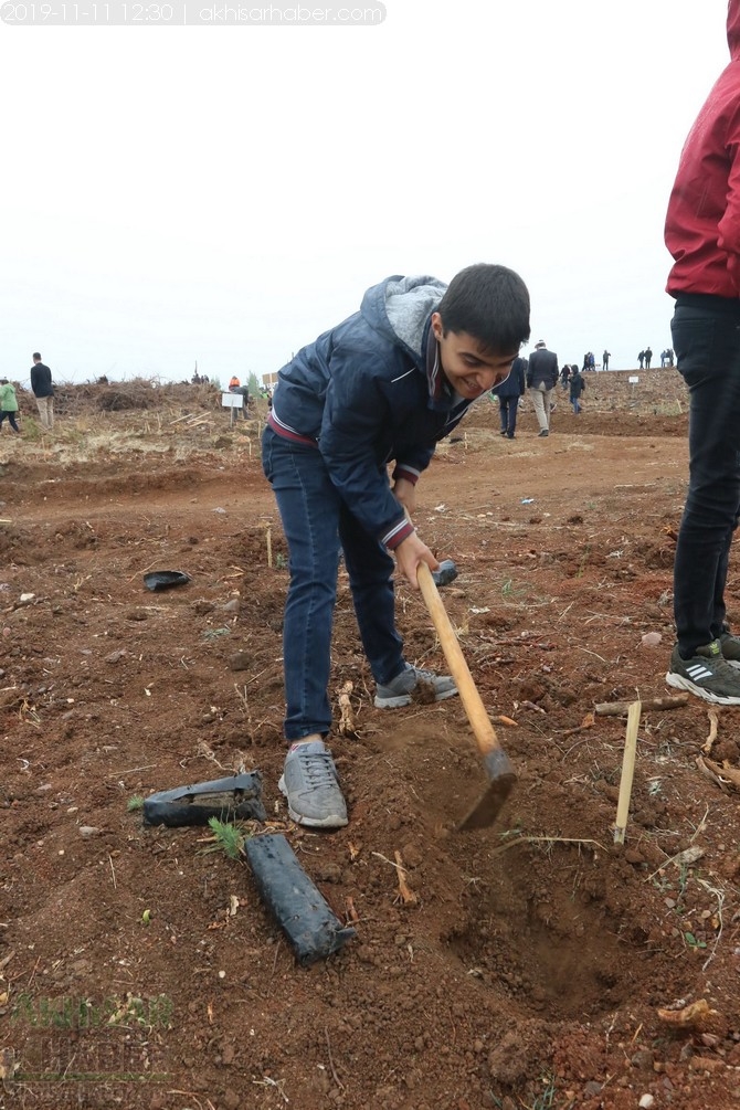 Akhisar'da 11 milyon ağaç etkinliği düzenlendi foto galerisi 143