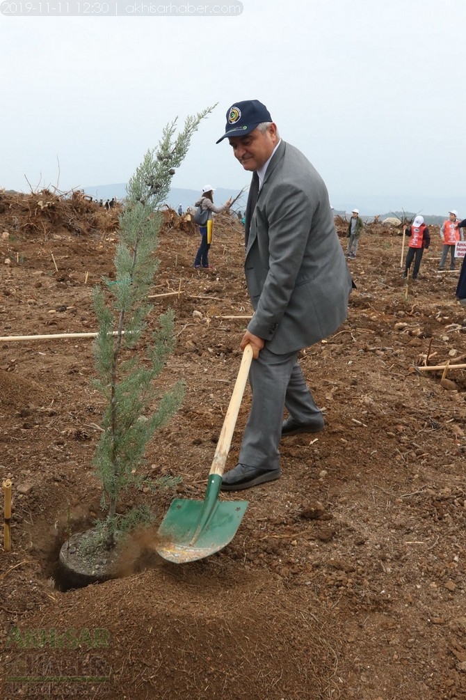 Akhisar'da 11 milyon ağaç etkinliği düzenlendi foto galerisi 67