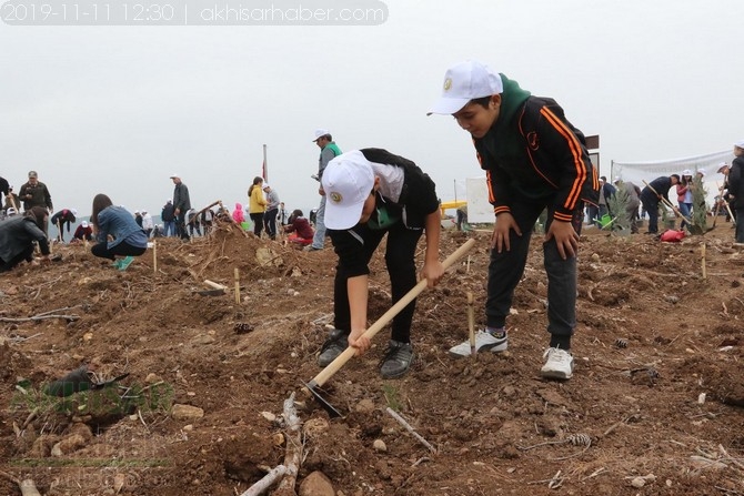 Akhisar'da 11 milyon ağaç etkinliği düzenlendi foto galerisi 85