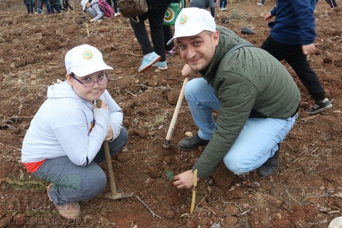 Akhisar'da 11 milyon ağaç etkinliği düzenlendi foto galerisi 97