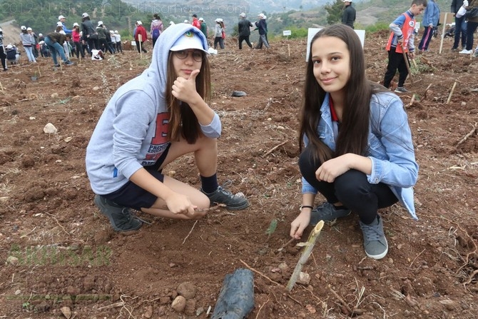 Akhisar'da 11 milyon ağaç etkinliği düzenlendi foto galerisi 99