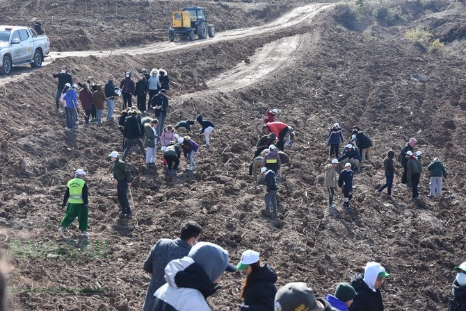 Dingiller Mahallesinde Ağaç Dikme Etkinliği 101