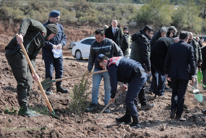 Dingiller Mahallesinde Ağaç Dikme Etkinliği 111