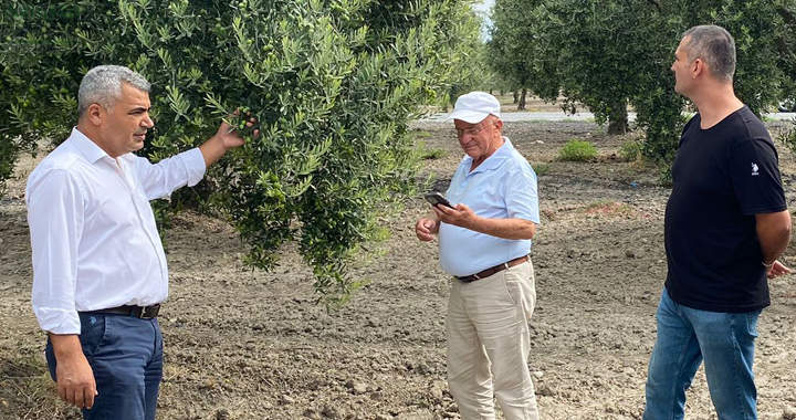 Zeytin Rekolte Tespit Komisyonu Toplandı