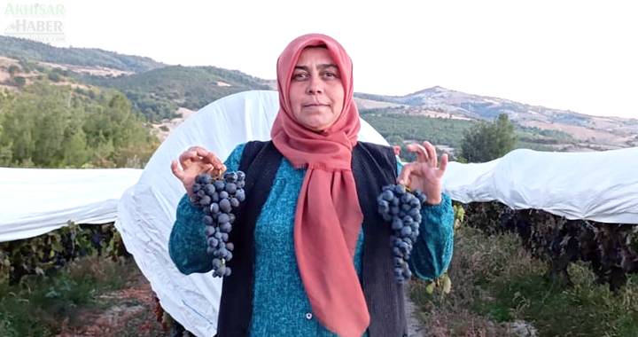 Gördes’de Üzüm Bağları bembeyaz oldu