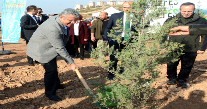 Milli Ağaçlandırma Gününde 2000 fidan toprakla buluştu