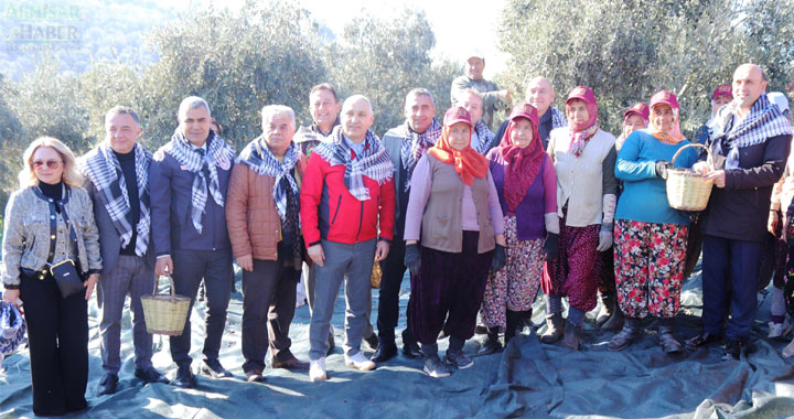 Akhisarlılar Zeytin Hasat Etkinliğinde Buluştu