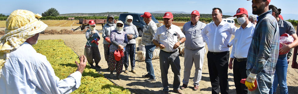 Başkan Besim Dutlulu, üzüm üreticileri ile buluştu