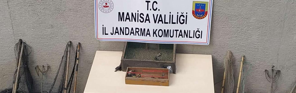 Jandarma, yasak avcılık yapanlara göz açtırmıyor