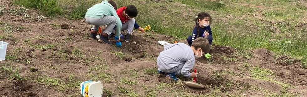 Öğrenciler, dinozor fosillerini gömdüler