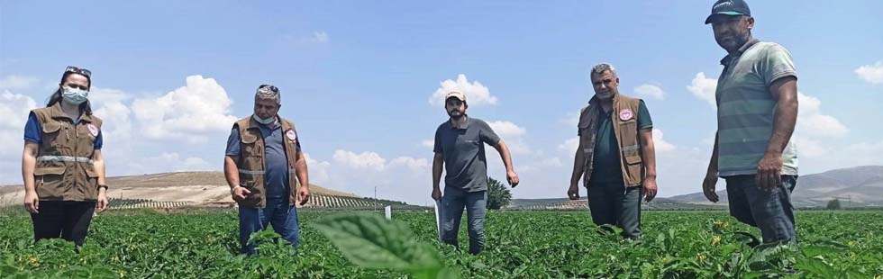 İlçe Tarım Müdürlüğü tarlada, çiftçinin yanında