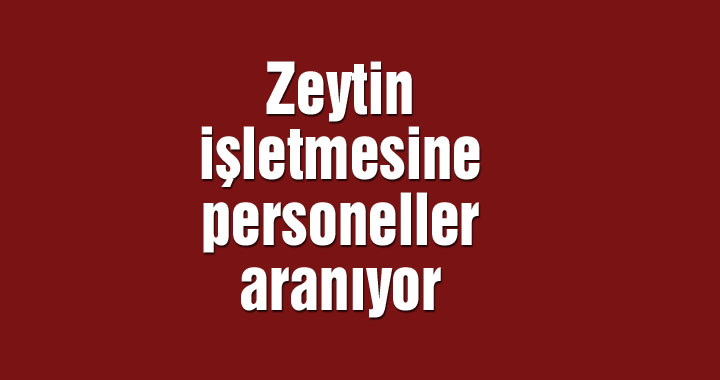 Zeytin işletmesine personeller aranıyor