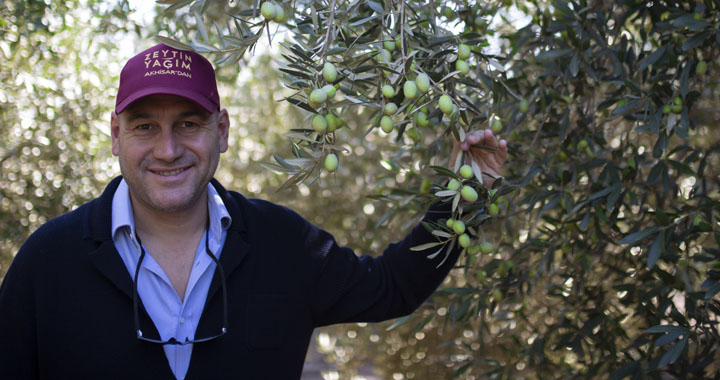 Zeytin bereketiyle geldi