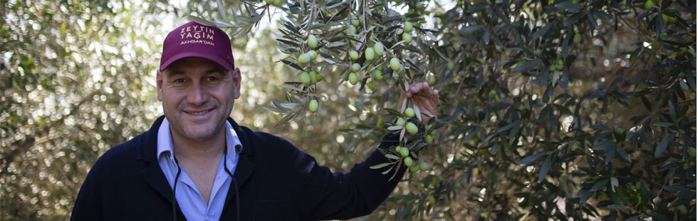 Zeytin bereketiyle geldi