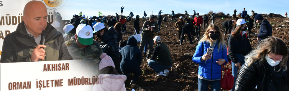 84 milyon için 3’er fidan