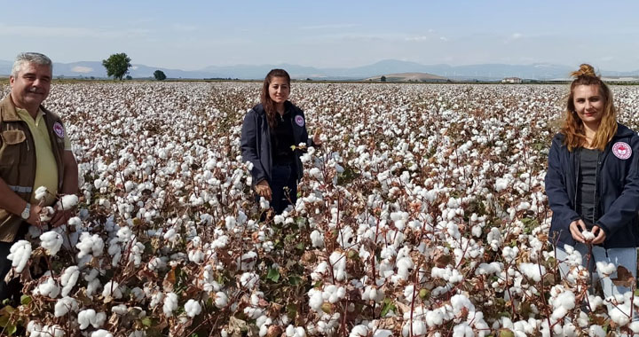 Bitkisel üretim desteklemeleri kapsamında fark ödemesi desteği müracaatları başladı