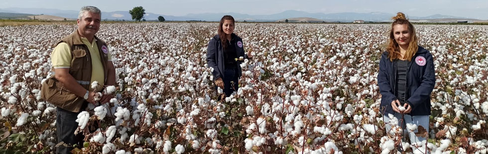 Bitkisel üretim desteklemeleri kapsamında fark ödemesi desteği müracaatları başladı