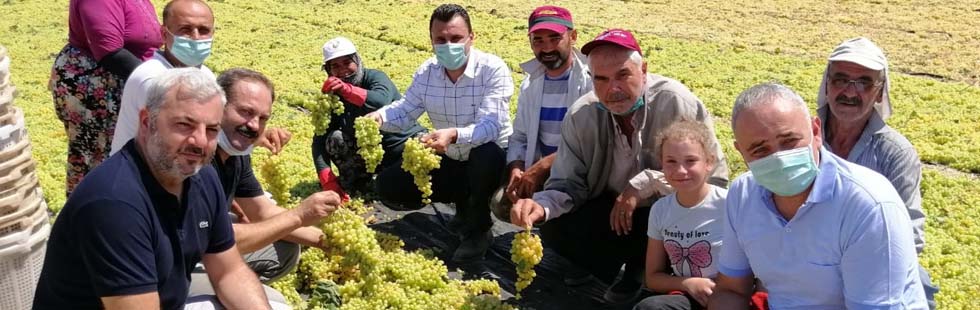 Bakırlıoğlu: İyi tarımda destek bilmecesi!