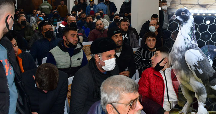 Akhisar’da güvercin mezatına yoğun ilgi!