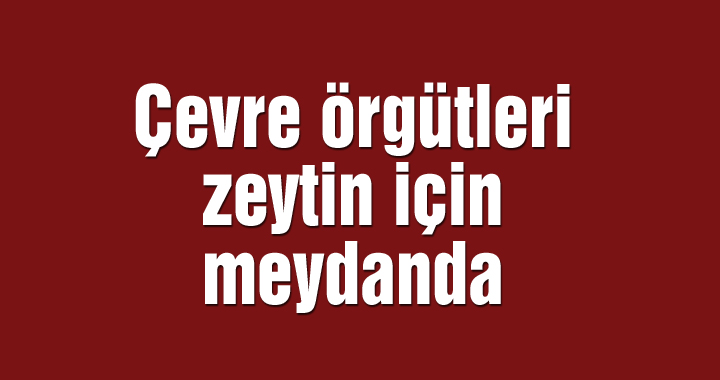 Çevre örgütleri zeytin için meydanda