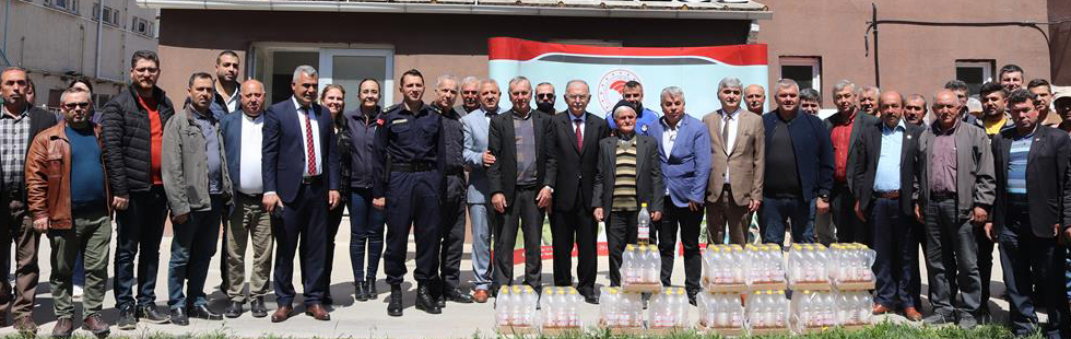 Kanadı noktalı sirke sineği tuzaklarının dağıtımı başlandı