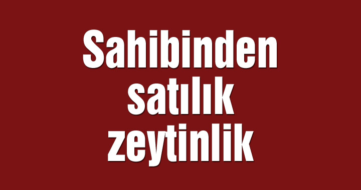 Sahibinden satılık zeytinlik