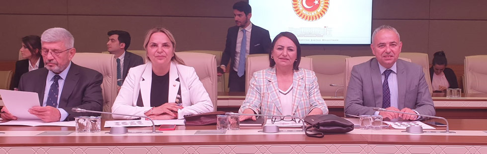 CHP’li Bakırlıoğlu’na yeni görev