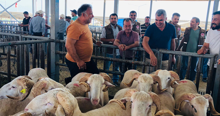 Kurban kesim yerleri ve hayvan pazarı denetimi yapıldı