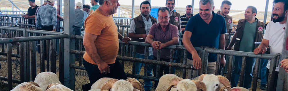 Kurban kesim yerleri ve hayvan pazarı denetimi yapıldı