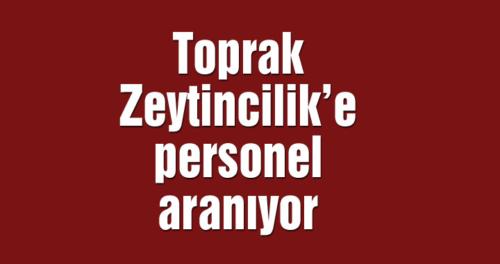 Toprak Zeytincilik’e personel aranıyor