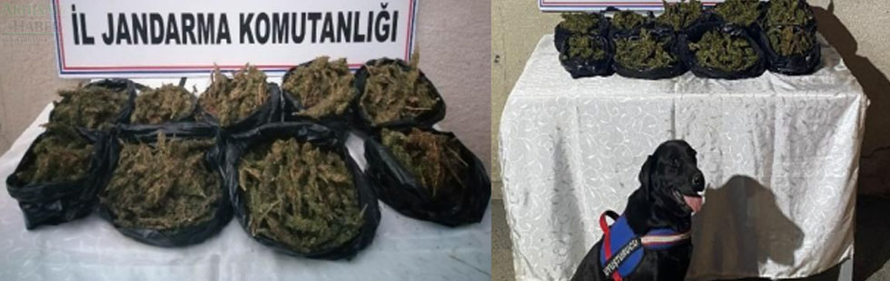 Toprağa gömülü saklanan 6 kilogram uyuşturucu yakalandı