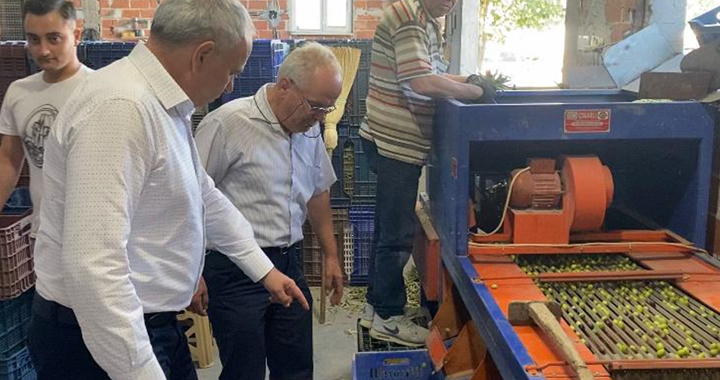 Bakırlıoğlu: Zeytin hasadı sıkıntılı başladı