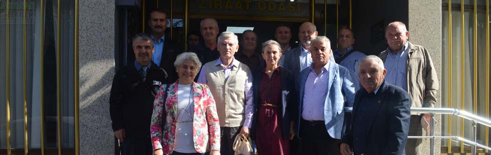 Zeytinlik alanlarda yeşil gübrelemenin önemi eğitimi düzenlendi