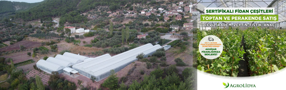 Akhisar’ın Markası Agrolidya Fidan Üretiminde Zirvede