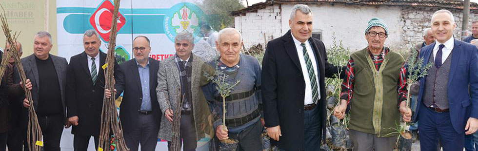 Yangında zarar gören üreticilere zeytin fidanları dağıtıldı