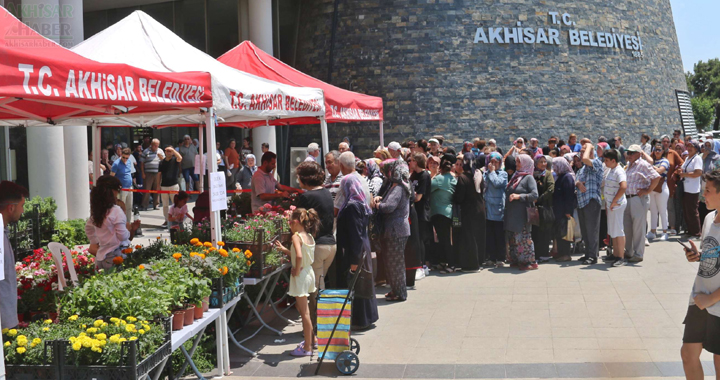 Akhisar Belediyesi 15 bin adet çiçek dağıttı