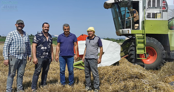 Akhisar’da buğday hasadı başladı